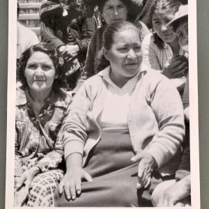 WhatsApp Image 2025-06-24 at 14.25.03 (1)